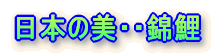 正しい飼い方の提言