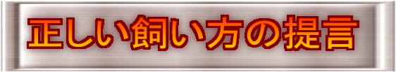 正しい飼い方の提言